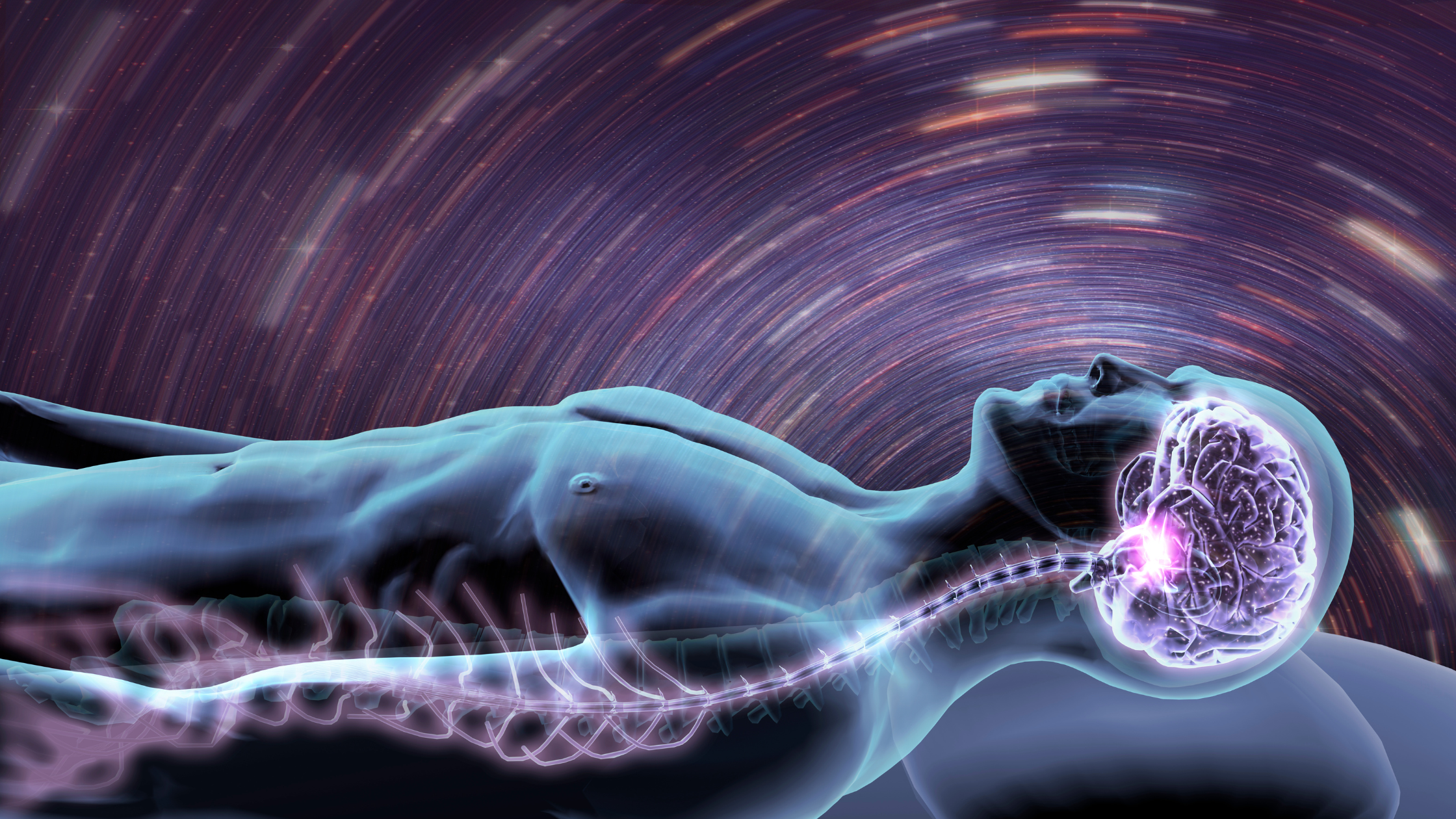 Unlocking the Night: What Happens to Your Brain While Sleeping
